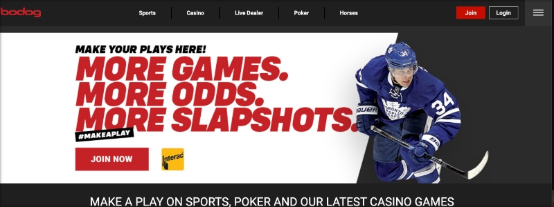 bodog site